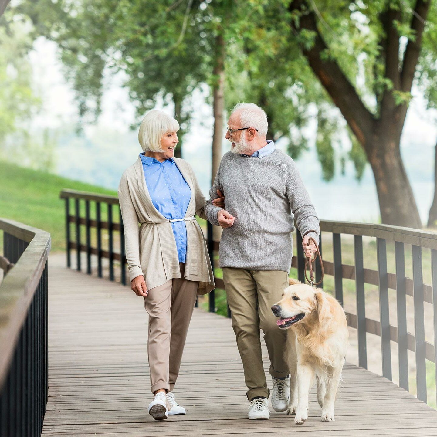 senior-couple-walking-with-dog